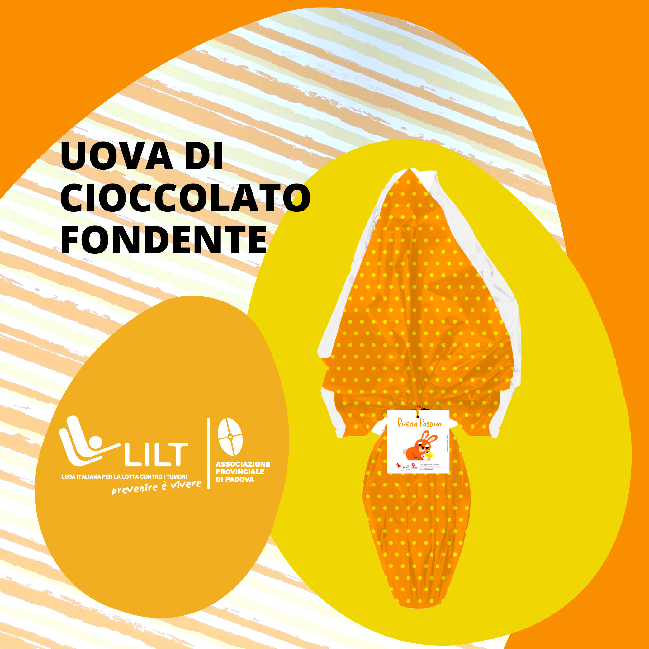 UOVO 250gr fondente con sorpresa (1) UOVO 250gr fondente con sorpresa (1)